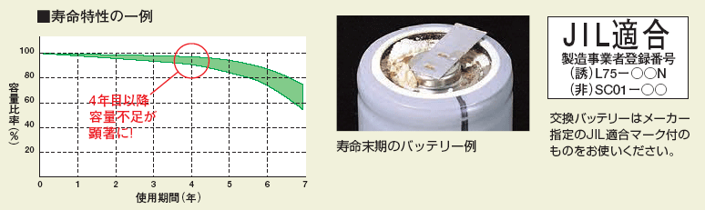 寿命特性の一例（図）