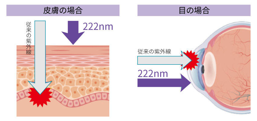 生体透過率が低い222nmの説明図
